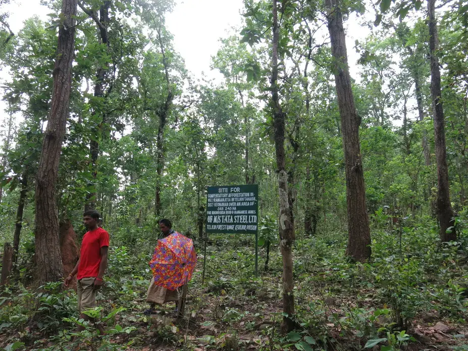Image by Chitrangada Choudhury.