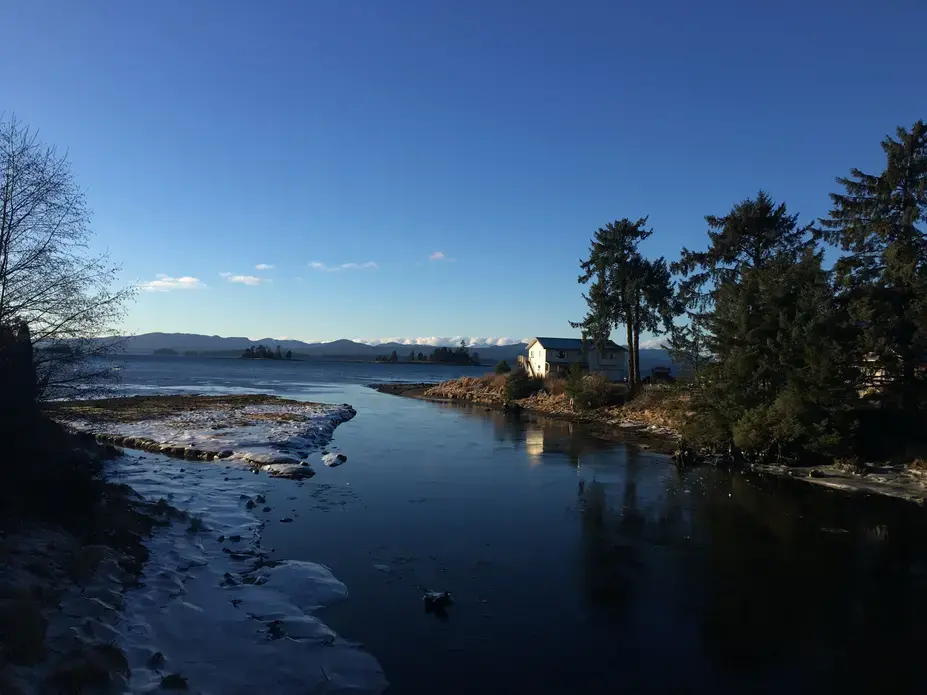The salmon swim upstream from the sea into the island in the spring. Image by Brooke Stephenson. United States, 2019.
