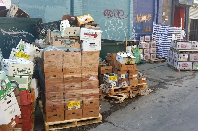 Containers of wasted food in Florida Market. Image by Karim Chrobog. Washington, D.C., 2014.