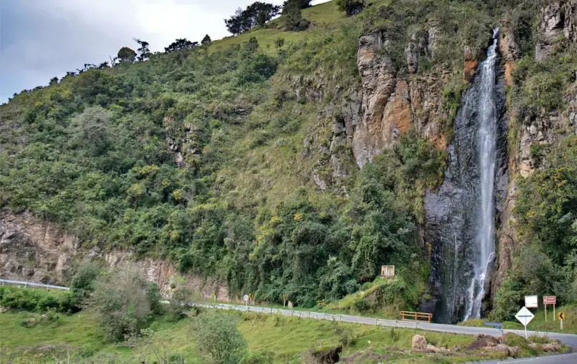 Image by Yefferson Ospina Bedoya. Colombia, 2019. Image by Yefferson Ospina Bedoya. Colombia, 2019.