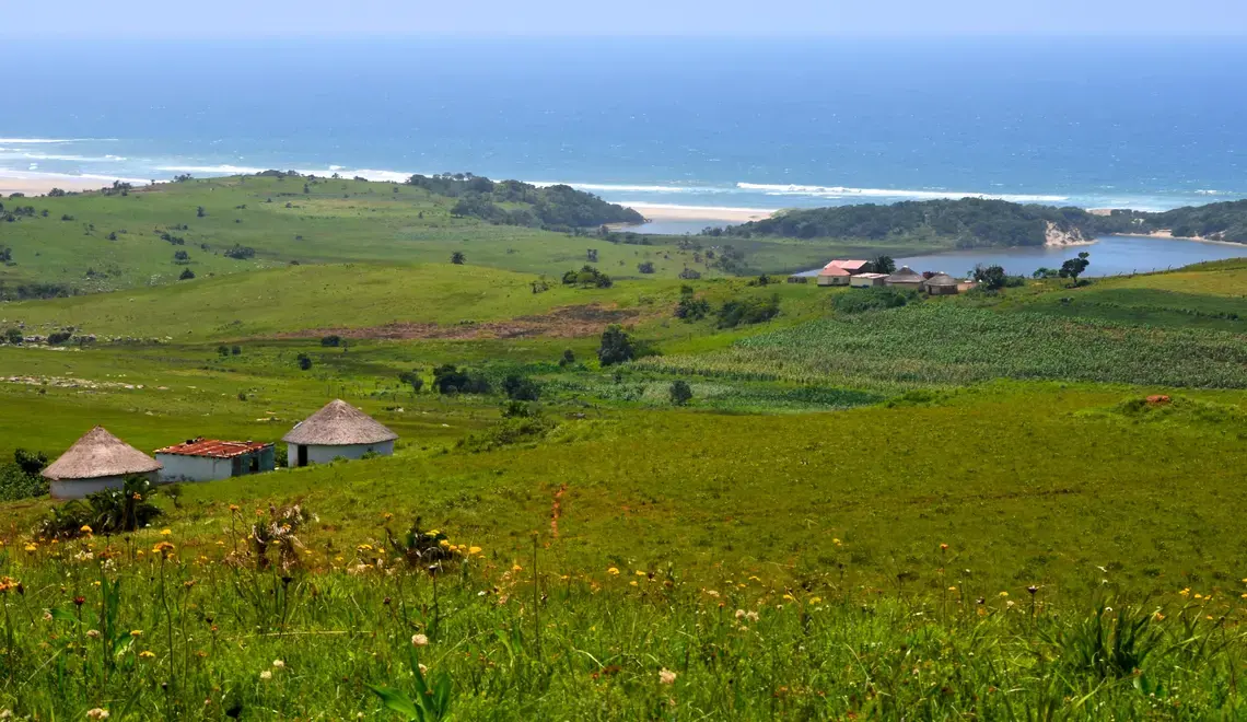 Homes and small agricultural plots dot the villages of Amadiba in South Africa's Eastern Cape province. Image by Mark Olalde. South Africa, 2017.