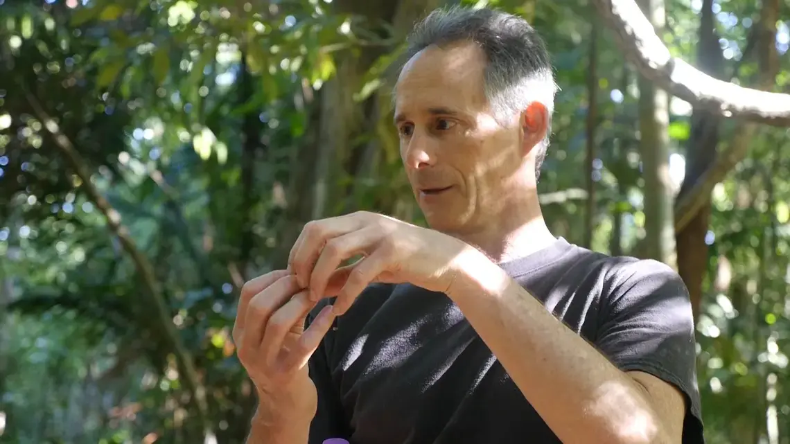 Stefan Schnitzer, a professor at Marquette University, at his research site in Panama. has discovered that vine-free jungle stores much more carbon than normal rainforest. Image by Dan Grossman. Panama, 2017.