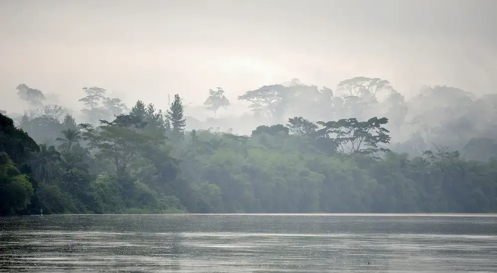 Image by Sergey Uryadnikov / Shutterstock. Democratic Republic of the Congo-Brazzaville, undated. Image by Sergey Uryadnikov / Shutterstock. Democratic Republic of the Congo-Brazzaville, undated.