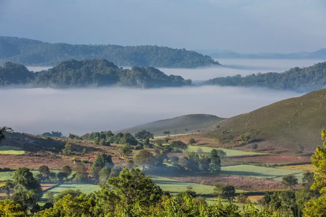 A valley in Shan state, Myanmar, an epicenter of the country's meth trade. Image by Franck Camhi / Shutterstock. Myanmar, undated.