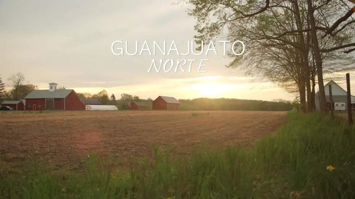 Screenshot from "Guanajuato Norte," a film produced by Ingrid Holmquist and Sana Malik. United States, 2018.