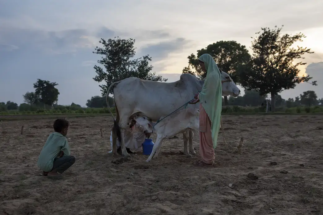 Image courtesy of Amit Madheshiya and Shirley Abraham.
