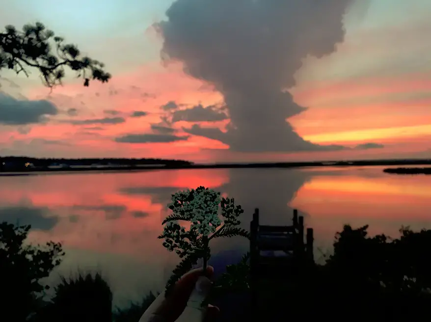 A storm cloud rises over Kill Devil Hills. Image by Allissa Halker. United States, undated.