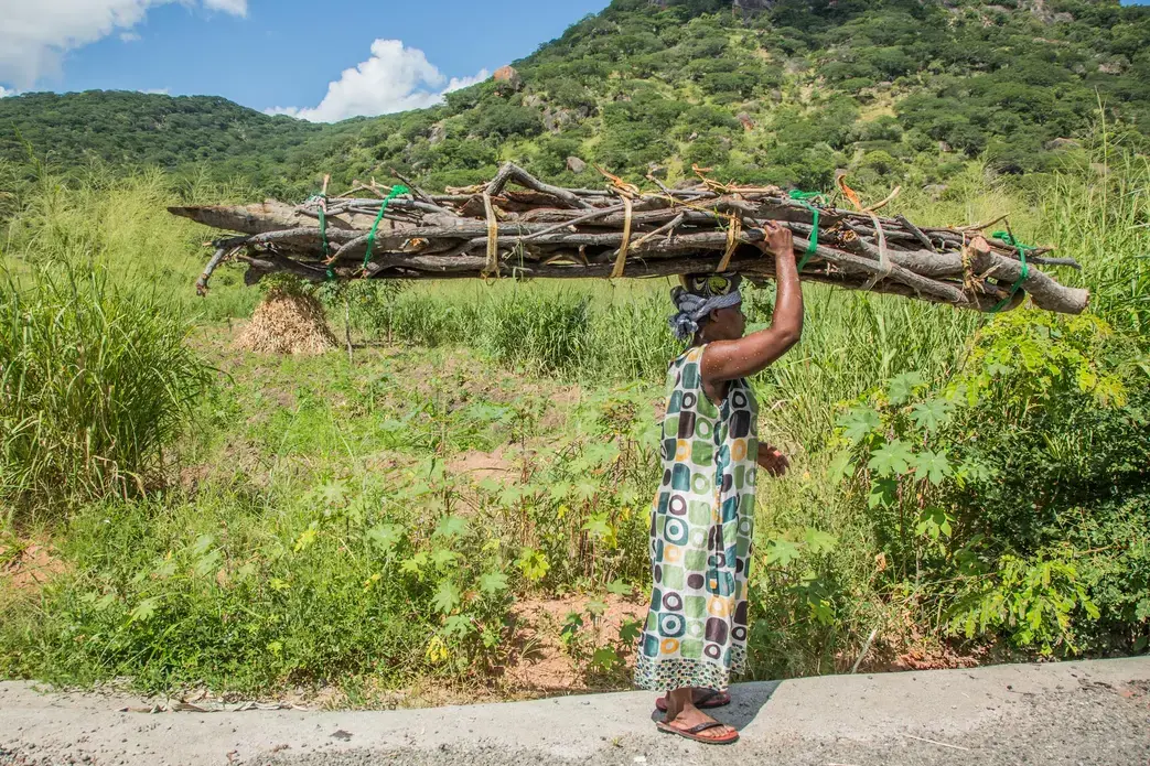 Women in Malawi spend up to 6 hours a day collecting firewood for cooking and heating. Image by Nathalie Bertrams. Malawi, 2017.