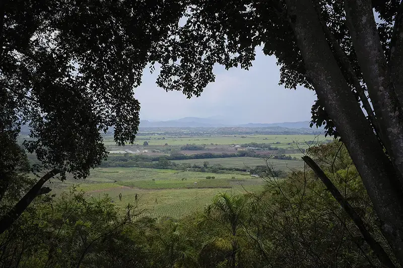 Colombia has greater biodiversity than any country except Brazil. Image by Greg Kendall-Ball/Nature﻿. Colombia, 2018. 