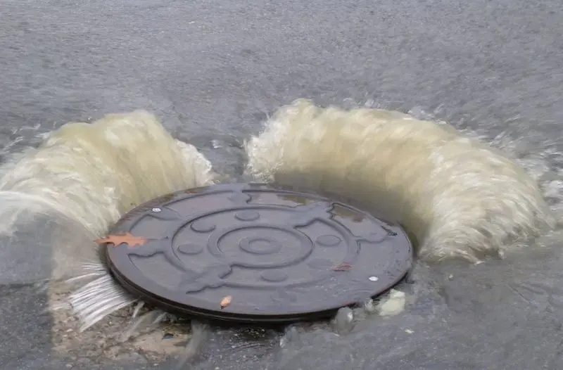 Closeup of a sanitary sewer overflow. Image by Lawrence Cahoon / UNCW. United States, undated.
