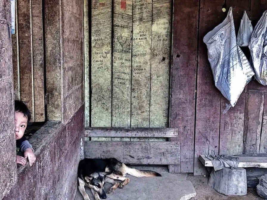 A young boy peeks from the window of a bache located in a coffee plantation near the Rio Sereno border crossing. Image by Samira Tella. Costa Rica, 2018.