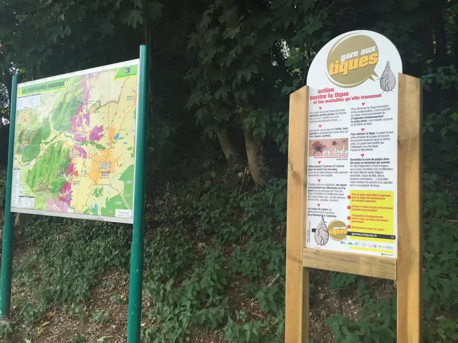 As part of France's national plan against Lyme, 2,000 "Beware of Ticks" signs will be placed at forest entrances. This one stands across from some vineyards in the northeastern town of Kintzheim. Image by David Scales. France, 2017.