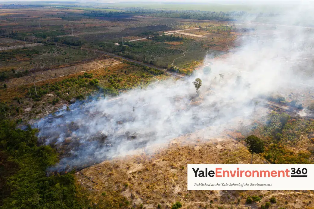 A burning field in the Beng Per Wildlife Sanctuary, in northern Cambodia. Beng Per is a sanctuary in name only as most of the land has been sold by the government for agricultural concessions and rubber plantations. Cambodia, 2020.