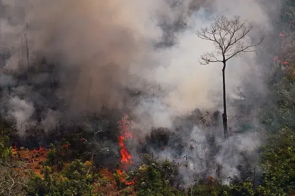 Aerial picture showing a fire raging in the Amazon rainforest about 65 km from Porto Velho, in the state of Rondonia, in northern Brazil, on August 23, 2019. Image by Carl De Souza/AFP/Getty Images. Brazil, 2019. Aerial picture showing a fire raging in the Amazon rainforest about 65 km from Porto Velho, in the state of Rondonia, in northern Brazil, on August 23, 2019. Image by Carl De Souza/AFP/Getty Images. Brazil, 2019.