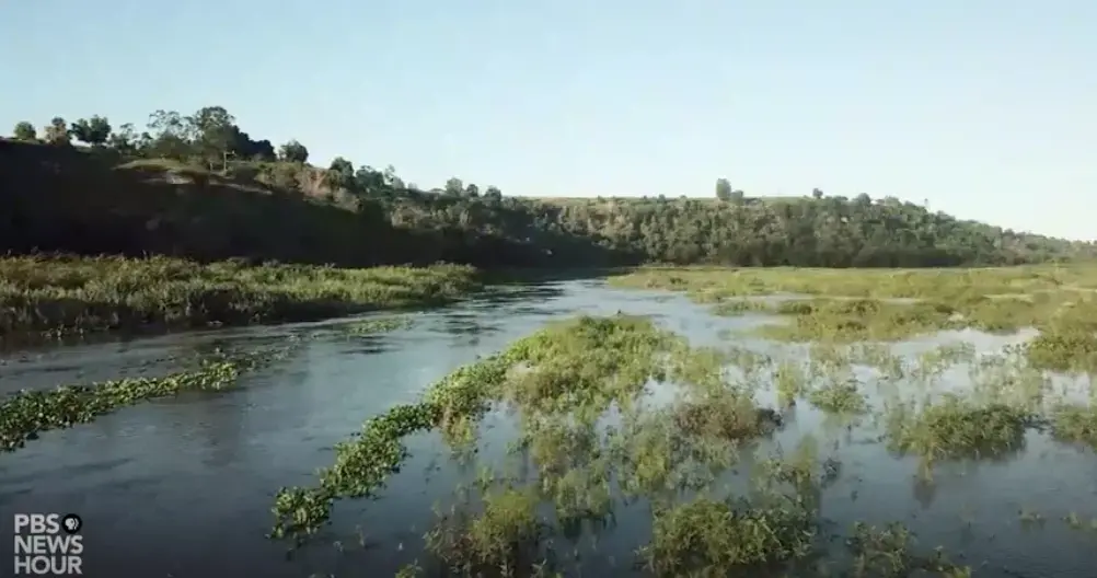 The Amazon is the world's largest rainforest and a critical line of defense against climate change. Image courtesy of PBS NewsHour. Brazil, 2019. The Amazon is the world's largest rainforest and a critical line of defense against climate change. Image courtesy of PBS NewsHour. Brazil, 2019.