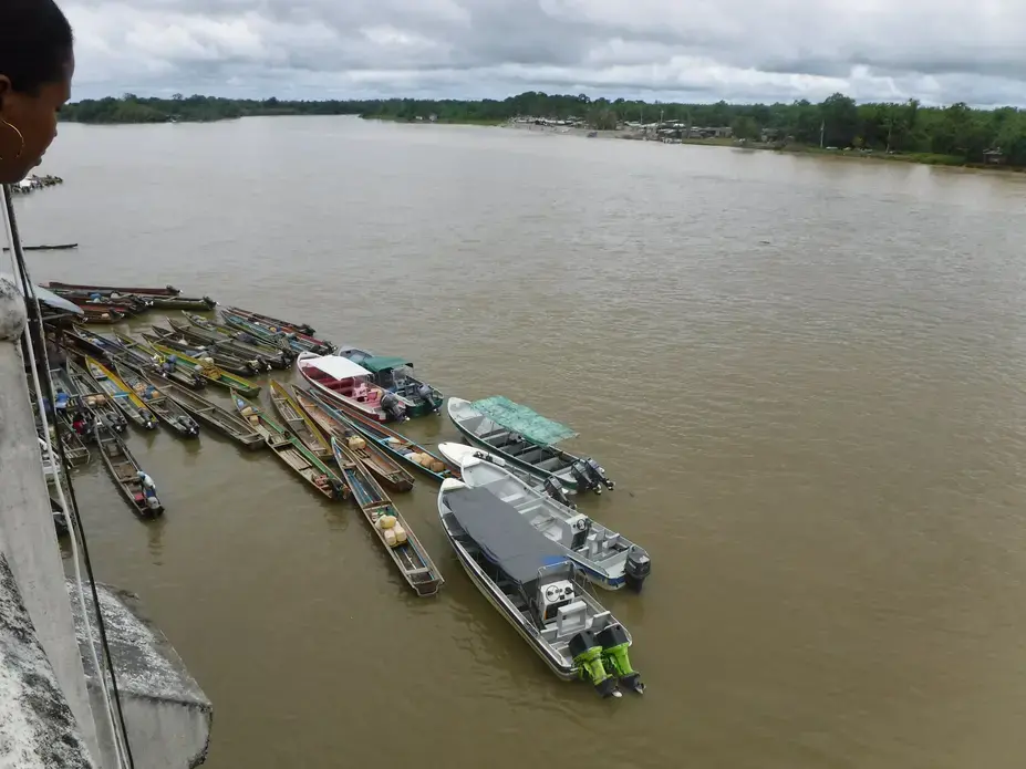 Canoes docked by Chocó's capital city, Quibdó. The Río Atrato links the region and serves as the primary transportation for many communities that lack access to paved roads. Image by Julia Friedmann. Colombia, 2018.