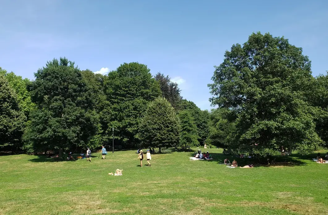 Prospect Park visitors find shade under trees. Image by Clarisa Diaz. United States, 2020.
