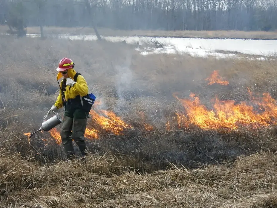 Fire biologist lights controlled burn. Image by Colby Hawkinson. United States, 2011.