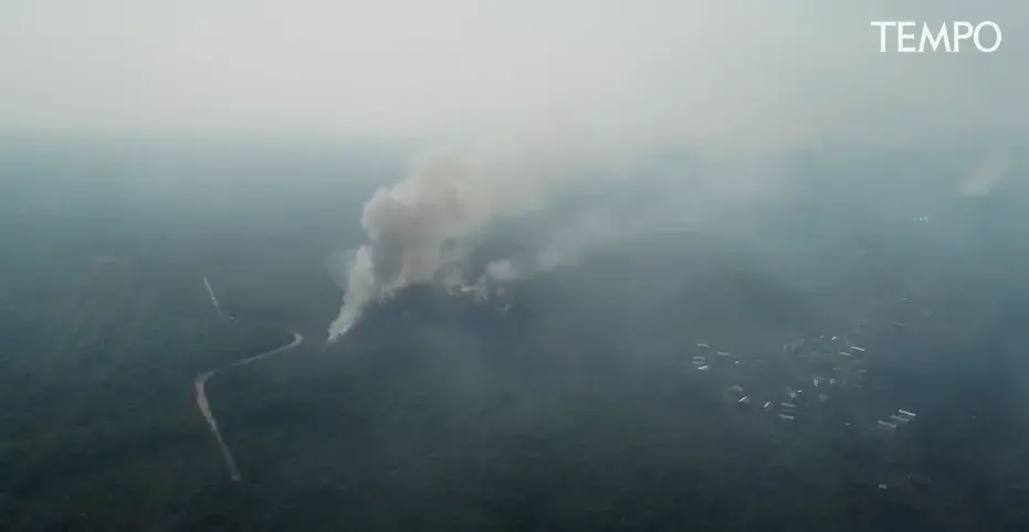 Tempo’s collaboration with Mongabay Indonesia, Betahita, Malaysiakini, and Auriga Nusantara, found traces of the involvement of a number of forestry and oil palm plantation companies in the big forest fire in 2019. Image courtesy of Tempo.co. Indonesia, undated. Media file: Plantation companies were involved in the forest fire