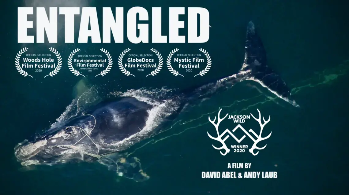 Image courtesy of David Abel and Andy Laub.