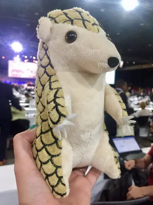 Representatives from more than 100 countries prepare to vote on pangolin protection at the CITES conference in Johannesburg. Image by Rachel Nuwer.  South Africa, 2016.