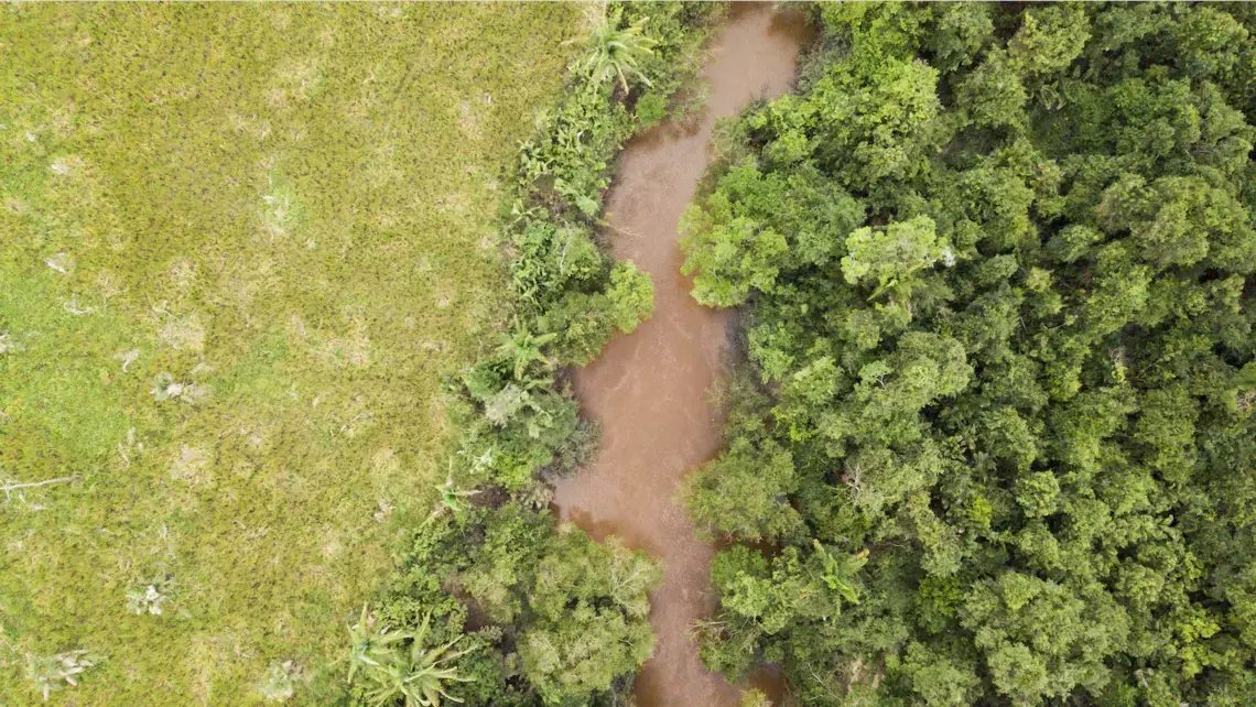 The Caru River cuts through the land and shows the pristine forest of the Indigenous lands in stark contrast with the deforested area on the opposite bank. Image by Sam Eaton. Brazil, 2018.