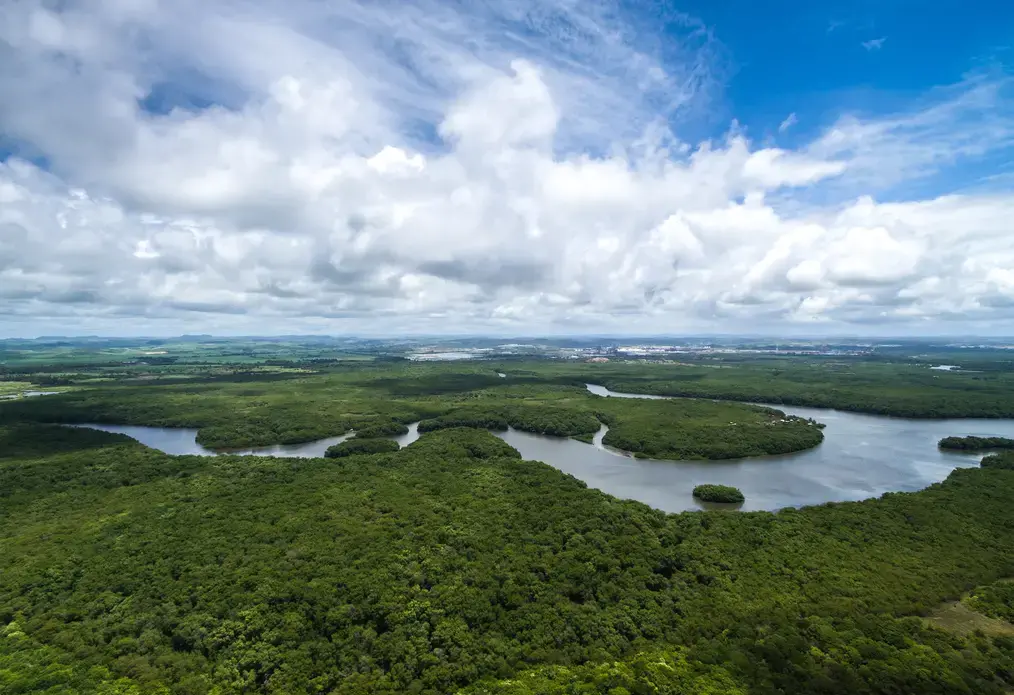 Aerial shot of the Amazon Rainforest in Brazil. Image by Gustavo Frazao/Shutterstock. Brazil, undated. Aerial shot of the Amazon Rainforest in Brazil. Image by Gustavo Frazao/Shutterstock. Brazil, undated.