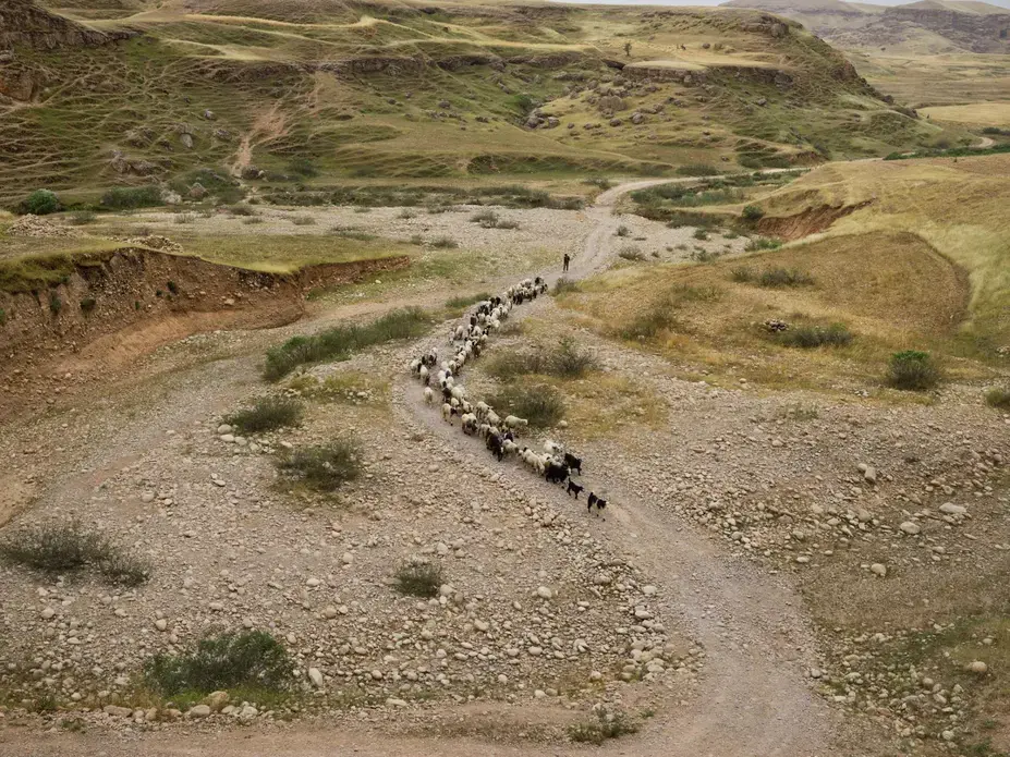 Drought in Sikvand village in Khuzestan Province has forced shepherds to move their flocks in search of grassland. Many nomadic families are seeking a way of life that will allow their children to go to school. Image by Newsha Tavakolian. Iran, 2018.