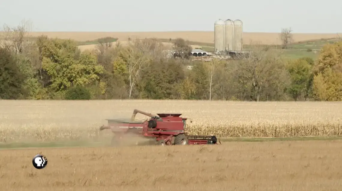 Image by PBS NewsHour. United States, 2019.