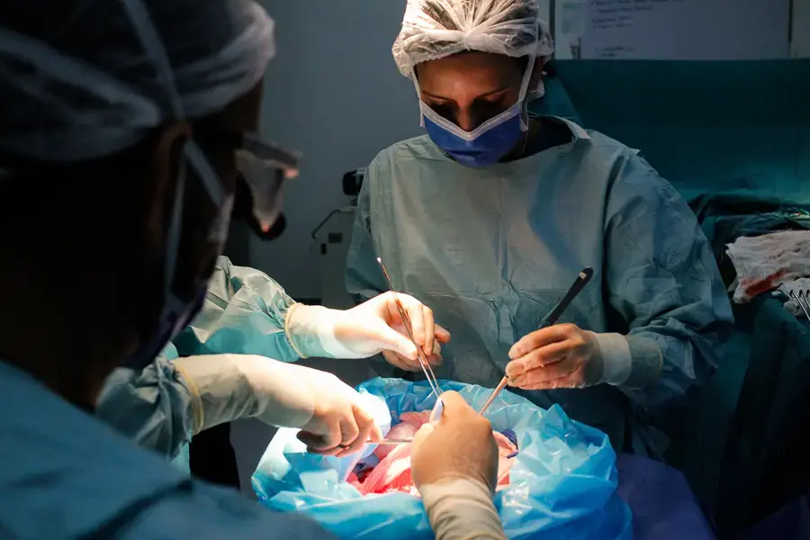 Members of a surgical team prepare a donated kidney to be transplanted into a patient on June 27, 2018, at an operating room in the private hospital Clínica Metropolitana, in Caracas, one of the few health centers that still performs this complex medical procedure. Image by Flaviana Sandoval. Venezuela, 2018.