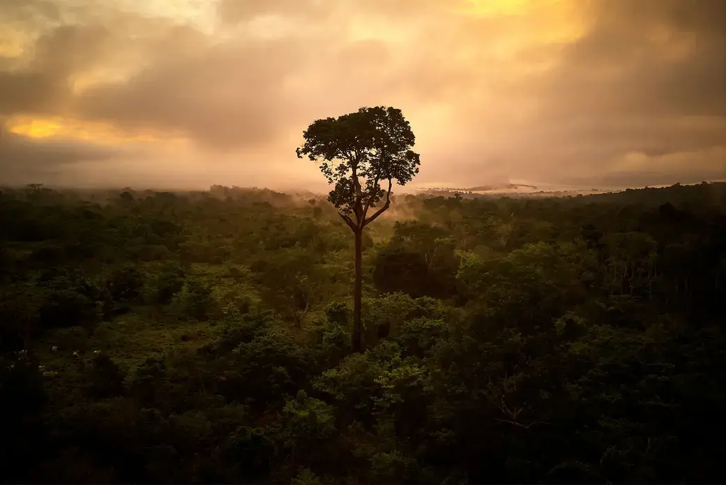 Image by Pablo Albarenga.