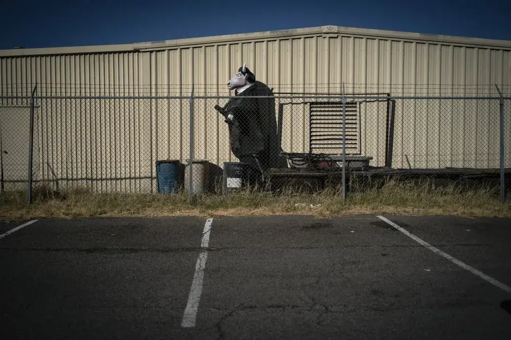 A bull dressed in a tuxedo is stored at the back of a parking lot in Las Vegas, Monday, Nov. 9, 2020.&nbsp;Image by Wong Maye-E / AP Photo. United States, 2020.