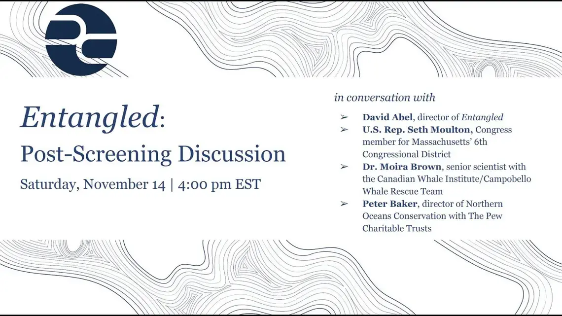 Entangled film screening and discussion