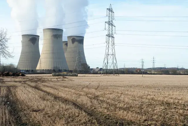 In the name of renewable energy, the British government is subsidizing the clear-cutting of the American Southeast. Image courtesy of Saul Elbein. United States, 2018.