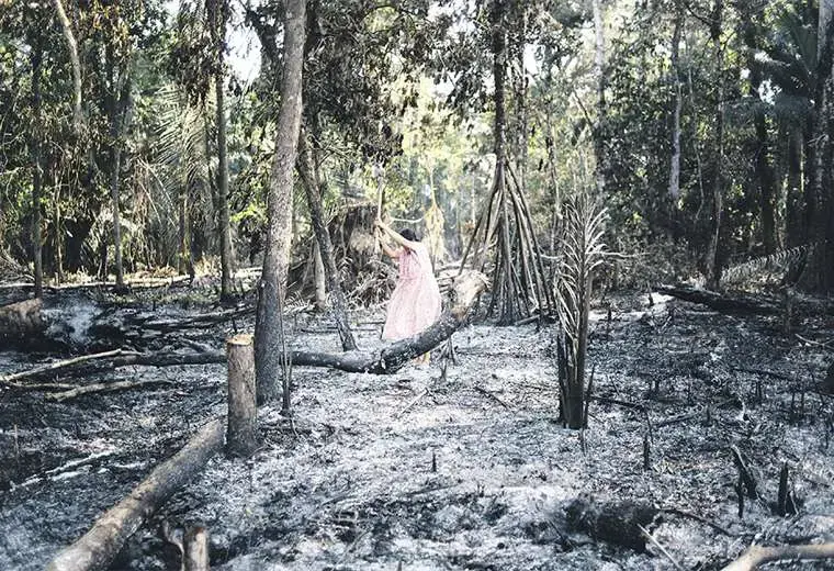 Image by Manuel Seoane. Bolivia, 2019. Image by Manuel Seoane. Bolivia, 2019.