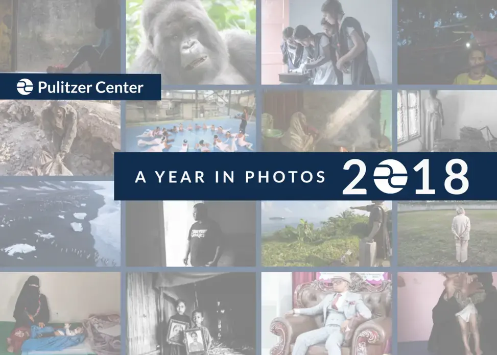 A Year in Photos 2018. Graphic designed by Karena Phan.