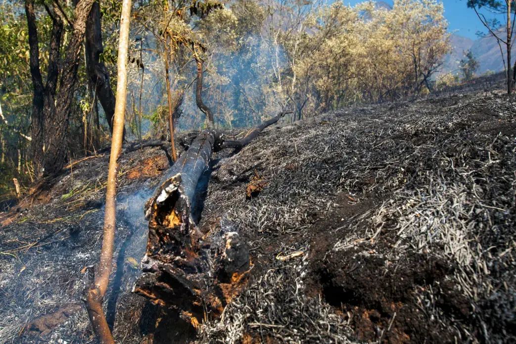 Flames rise from a trunk in a farm at Pocone village, Mato Grosso. Image by Antonio Scorza / Shutterstock. Brazil, 2020. Flames rise from a trunk in a farm at Pocone village, Mato Grosso. Image by Antonio Scorza / Shutterstock. Brazil, 2020.