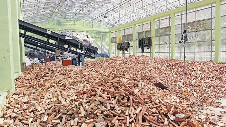 Wood chips to fuel the Saliguna PLTBm in Siberut last July. Image by Febrianti/Tempo. Indonesia, 2020. Wood chips to fuel the Saliguna PLTBm in Siberut last July. Image by Febrianti/Tempo. Indonesia, 2020.
