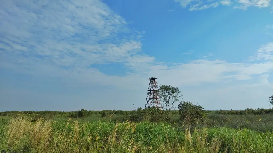 Palembang, South Sumatra—May 30, 2019. A watch tower stands guard against forest fire in South Sumatran peatland. Image by Slamet Mulyadi / Shutterstock. Indonesia, 2019. Palembang, South Sumatra—May 30, 2019. A watch tower stands guard against forest fire in South Sumatran peatland. Image by Slamet Mulyadi / Shutterstock. Indonesia, 2019.