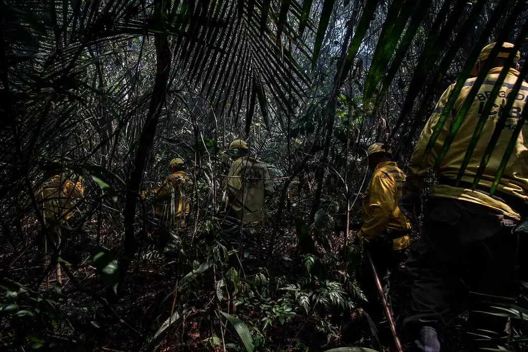 ICMBio brigadiers risk their own lives by entering the Tapajós National Forest in search of forest fires. Image by Flavio Forner. Brazil, 2020.