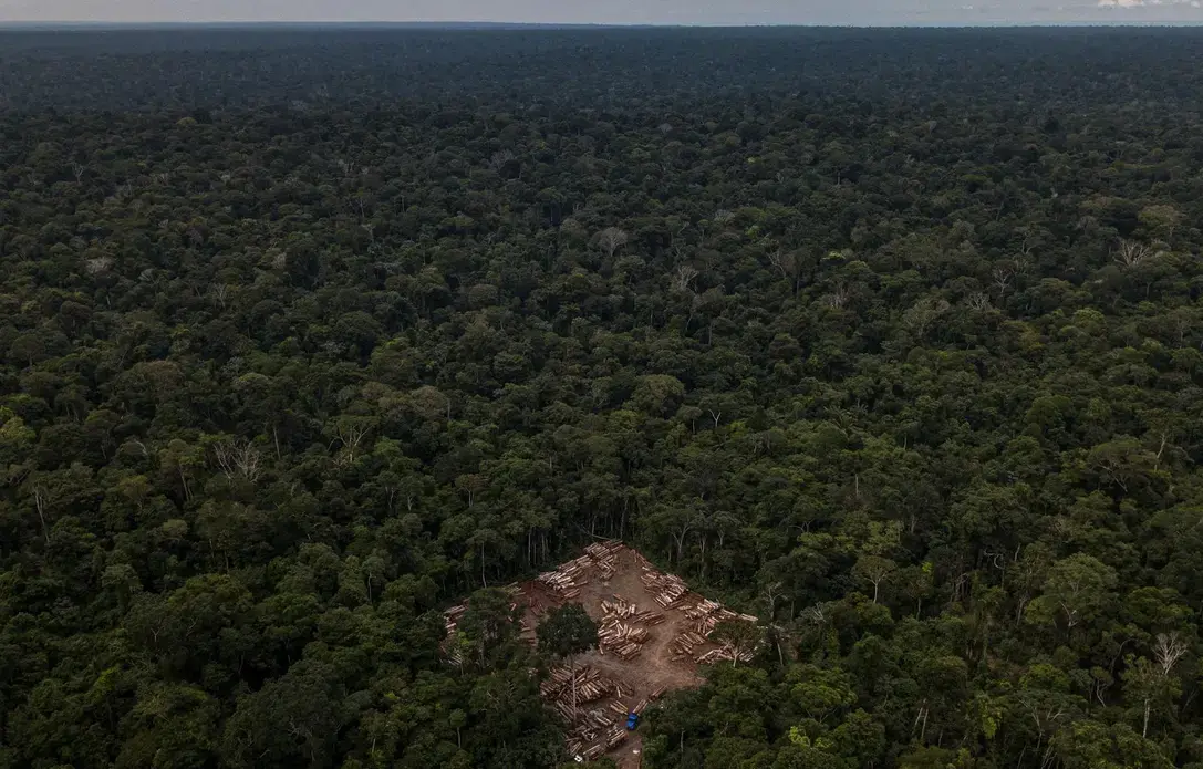 Uma clareira no baixo Tapajós, no Pará, serve para guardar madeira apreendida por agentes do Ibama. Este ano, 54% dos focos de calor na Amazônia foram registrados em áreas desmatadas, segundo dados da Nasa. Imagem de Flavio Forner. Brasil, 2020.