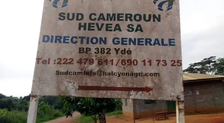 Image courtesy of Panorama Papers. Cameroon, undated.