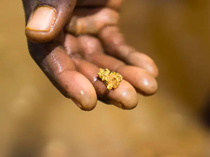 Cuanto más bajo sea el precio del oro, mejor, porque en los mercados legales está aumentando, dicen los lugareños. Foto por Bram Ebus. Venezuela, 2020. Cuanto más bajo sea el precio del oro, mejor, porque en los mercados legales está aumentando, dicen los lugareños. Foto por Bram Ebus. Venezuela, 2020.