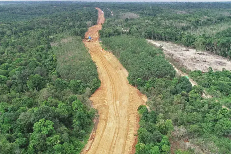 PT Marga Bara Jaya’s new coal haul road. Image by Erwan Hermawan/TEMPO. Indonesia, 19 June 2020.