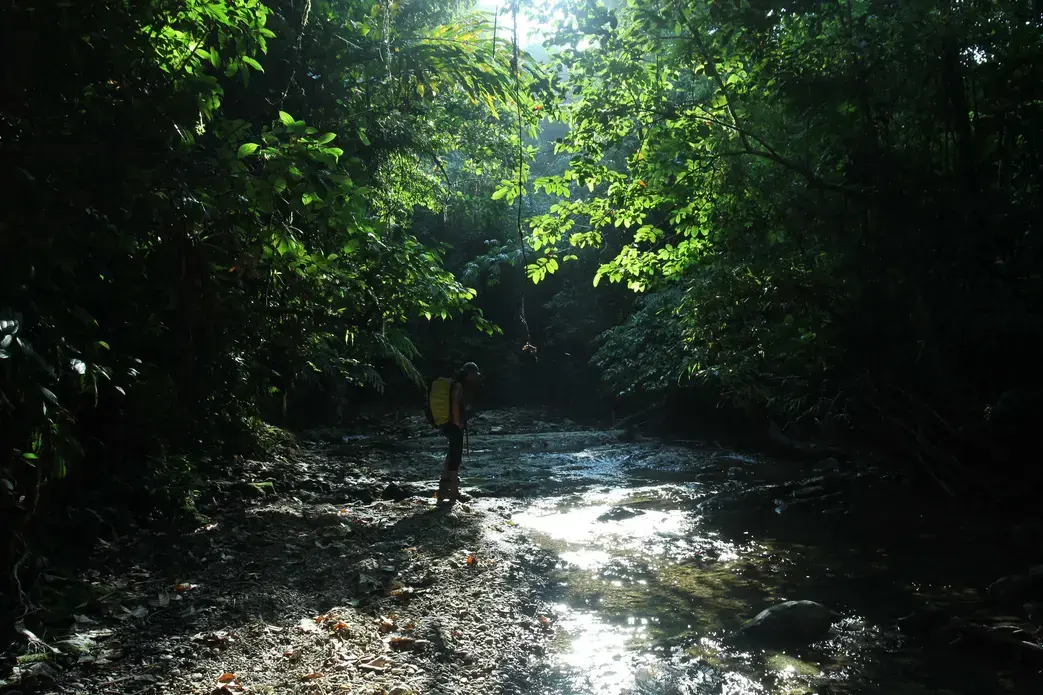 Siberut National Park. Image by Febrianti. Indonesia, 2020. Siberut National Park. Image by Febrianti. Indonesia, 2020.