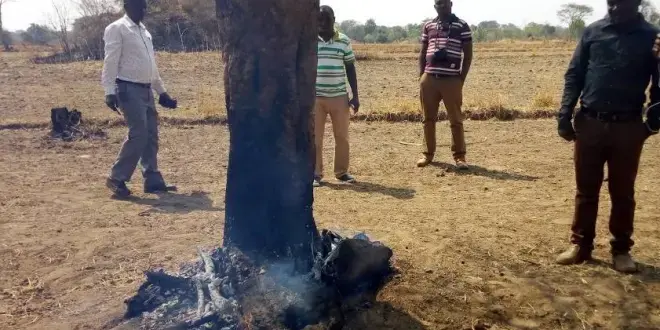 Local community members witnessing a burning tree at the Ulyankhulu Forest Reserve in Urambo District in Tabora Region recently. Photo by Veronica Mapunda.