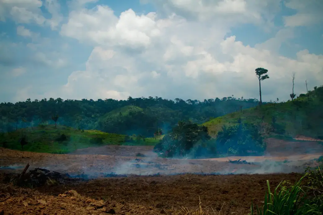 sao felix do xingu.png Deforestation on the livestock farm in the municipality of São Félix do Xingu, in Pará. Image by Marcio Isensee/Shutterstock. Brazil, date unknown.
