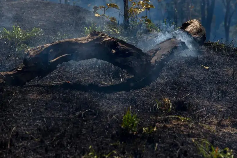 Pocone, Mato Grosso, Brazil: Flames raises from a trunk in a farm at Pocone village. Image by Antonio Scorza / Shutterstock. Brazil, 2020.