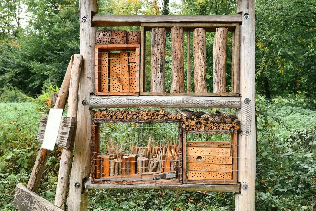 Insect house hotel made out of natural wood material created to provide shelter for insects to prevent their extinction. Image by Shutterstock. Insect house hotel made out of natural wood material created to provide shelter for insects to prevent their extinction. Image by Shutterstock.