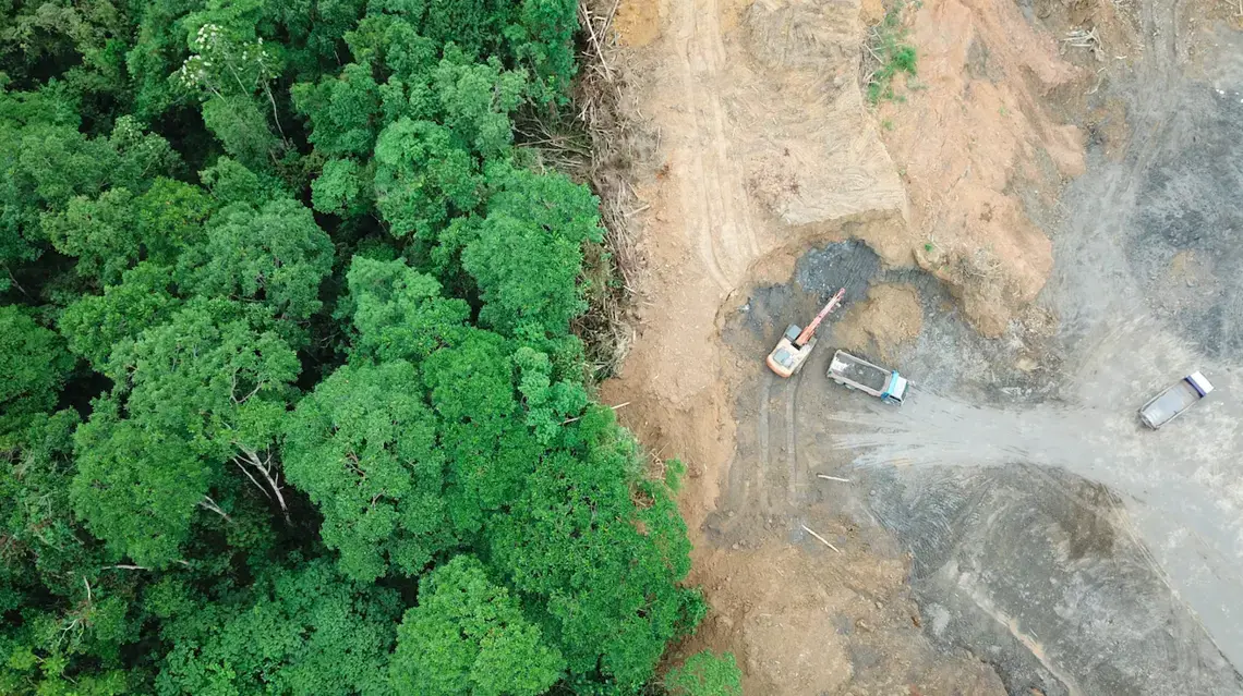 Rainforest in Borneo, Malaysia destroyed to make way for oil palm plantations. Image by Rich Carey/Shutterstock. Malaysia, date unknown. Rainforest in Borneo, Malaysia destroyed to make way for oil palm plantations. Image by Rich Carey/Shutterstock. Malaysia, date unknown.
